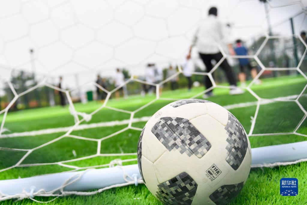 这一合作协 这一合作协